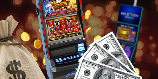 The Ultimate Guide to Habtam Bet for Enthusiasts